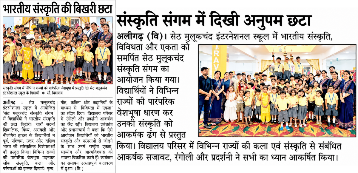 Sanskriti Sangam at Seth Malook Chand International School-2